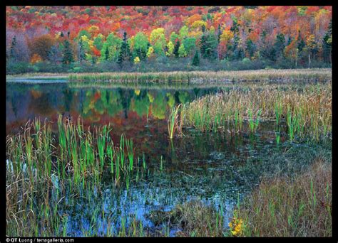 Large format landscapes : autumn-reflections