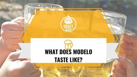 What Does Modelo Taste Like: Learn About Popular Mexican Beer