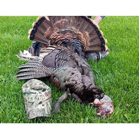 Five Tips For Late Season Turkey Hunting – The Reel Shot