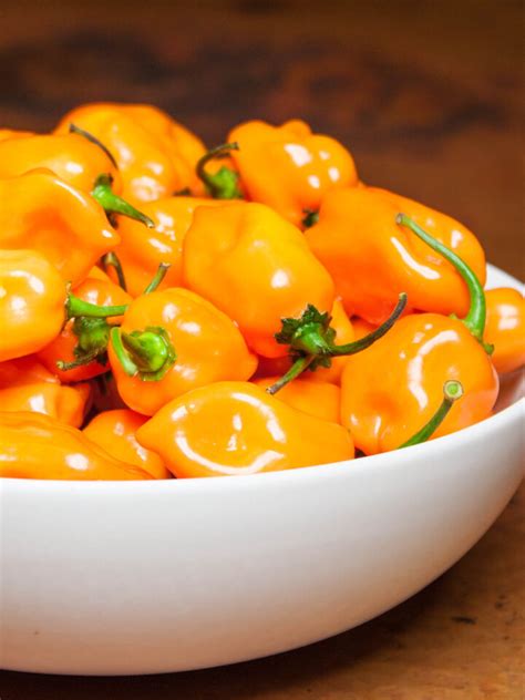 Habanero Recipes - Chili Pepper Madness