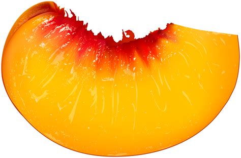 Peach clipart sliced, Peach sliced Transparent FREE for download on WebStockReview 2024