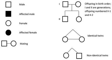 Genetic Taste Tests: Human Pedigree Symbols – Precision Laboratories