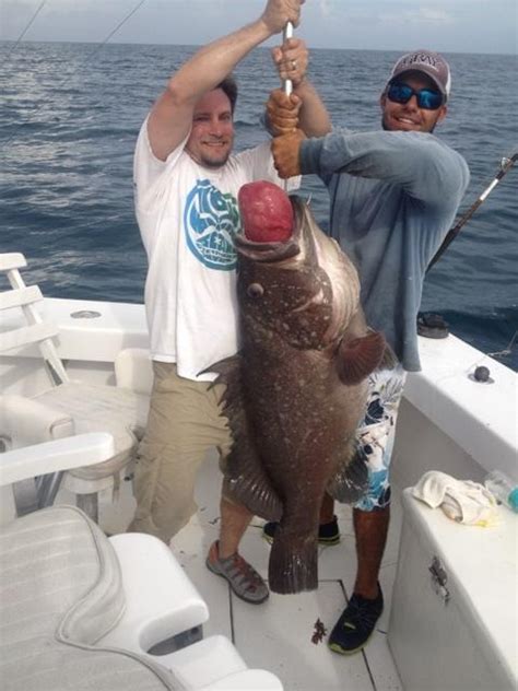 Another Great Deep Sea Fishing Charter | Fishing Headquarters