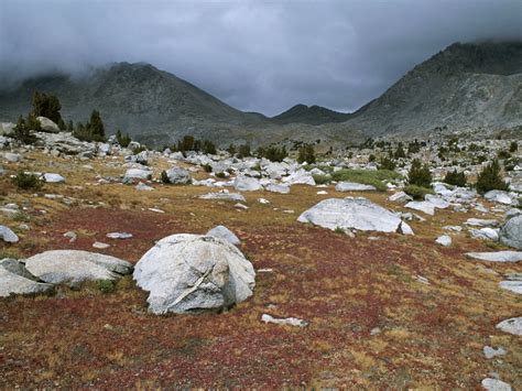 Describe Animal Interactions That Affect Populations in the Tundra Ecosystem