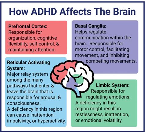 ADHD: Signs, Symptoms, and Causes