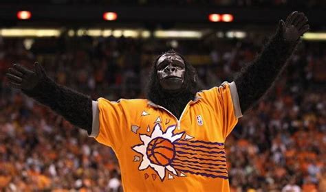 The Gorilla - Phoenix Suns Mascot - SportMascots.com