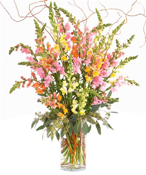 Designing Spring and Seasonal Flowers - Walter Knoll Florist