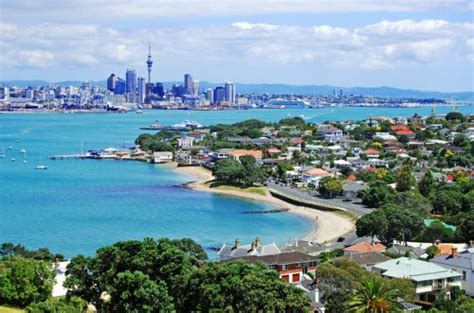 Waitemata-Harbour-from-Devonport-Auckland - OmniHealth