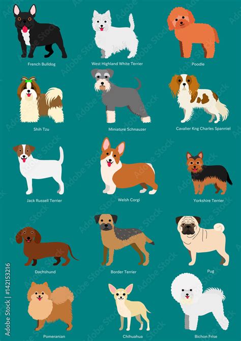 Small Dog Breeds Set Breeds Names Stock Vector (Royalty Free) 609138761 Shutterstock ...