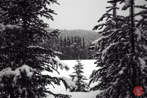 Winter in the Rockies - Alberta Landscape Photography — MiKSMedia Photography