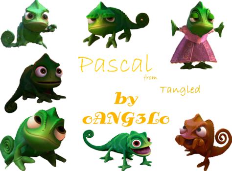 Pascal PNG File | PNG All