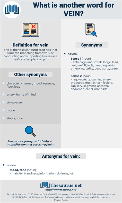 VEIN: 602 Synonyms and 5 Antonyms | Thesaurus.net