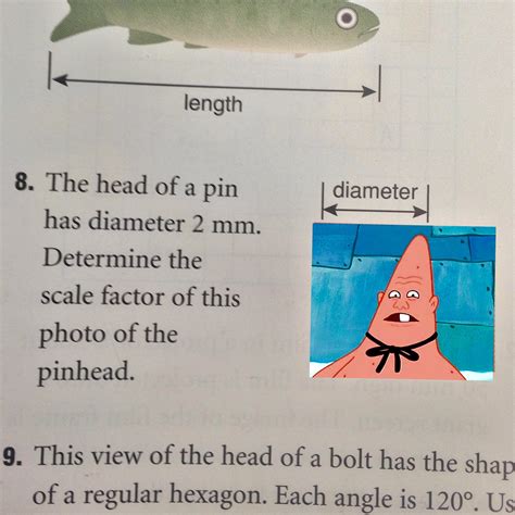 Pinhead Patrick | Pinhead Larry | Know Your Meme