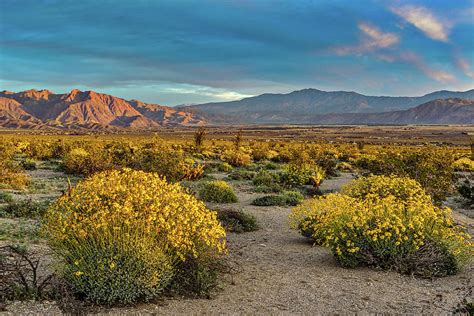 Yellow Sunrise Photograph by Peter Tellone | Fine Art America