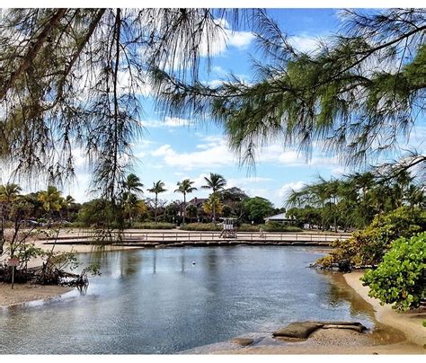 "Dubois Park Lagoon Jupiter Florida" Travel Mugs by jupiterarts | Redbubble