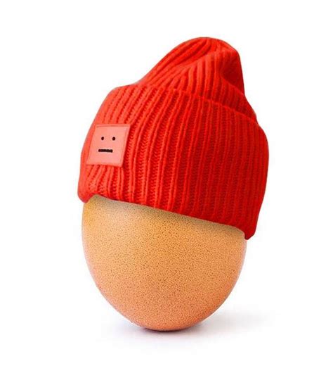 Beanie photoshop | World Record Egg | Know Your Meme