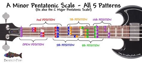 For the BASSISTS!!! The A Minor Pentatonic Scale - All positions - Bradley Fish