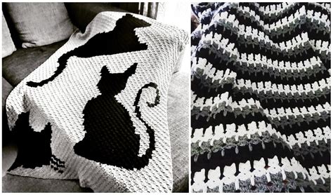 Blanket For Cat Crochet - Cat Meme Stock Pictures and Photos