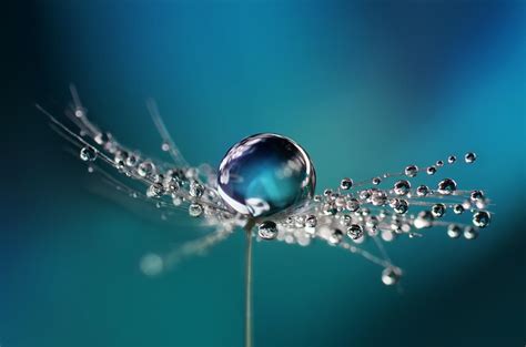 5 Tips for Water Droplet Photography | Skylum Blog (ex-Macphun)