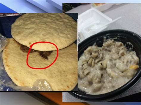 Some Polk County students say they won't eat school lunches - abcactionnews.com WFTS-TV