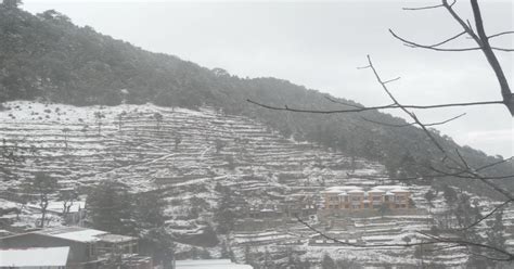 mukteshwar snow : Latest news and update on mukteshwar snow