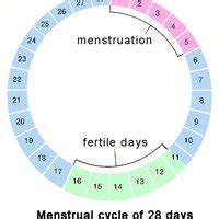 What Causes Early Periods? | eHow