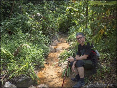 Return to Taman Tugu — Daily Dose of Chemo