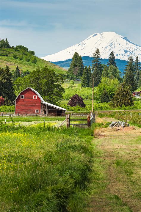 Red Barn Green Farmland White Mountain Idyllic Rural Landscape Photograph by William Fawcett