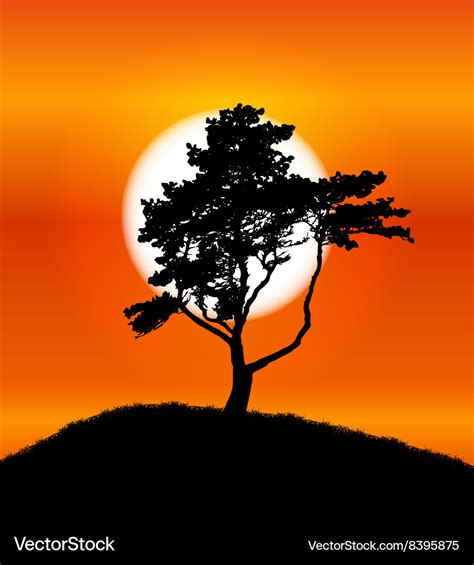 Silhouette of tree on sunset background Royalty Free Vector