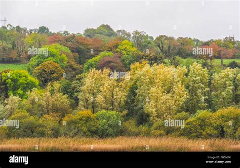 Autumn landscape, River Boyne, Ireland Stock Photo - Alamy