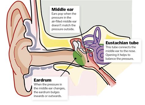 Why do our ears pop? – How It Works