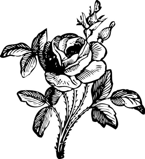 Rose Clip Art at Clker.com - vector clip art online, royalty free & public domain