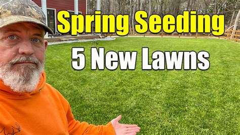 Spring Seeding Lawns and Over Seeding Lawn Care