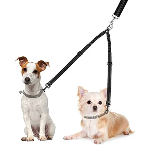 Best Multi-Dog Leash For Serious Dog Walkers