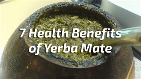 7 Health Benefits of Yerba Mate | Nutrition Fox