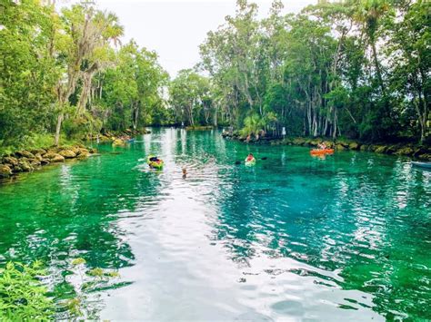 Three Sisters Springs Canal Stabilization Project | WaterMatters.org