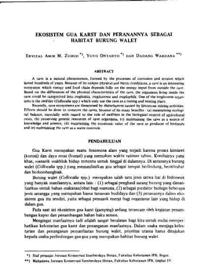 Ekosistem Gua Karst dan Peranannya sebagai Habitat Burung Walet