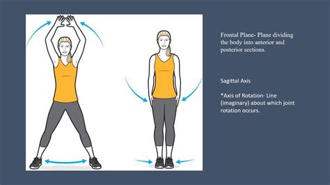 Sagittal Plane Movements