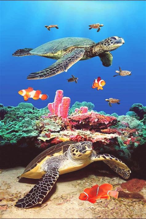 Turtles and coral reef Towel | Beautiful sea creatures, Sea turtle pictures, Baby sea turtles