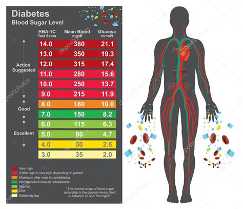 Carta de diabetes. Información de salud gráfica. Diseño vectorial. 2022