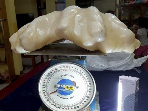 Filipino Fisherman Reveals 75-Pound Pearl He Kept Hidden For A Decade - capradio.org