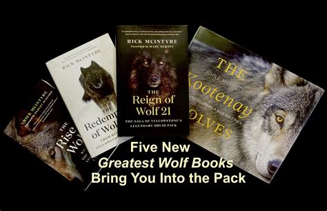 5 New Greatest Wolf Books that Bring You Into the Pack. 2023 Edition — Destination: Wildlife™