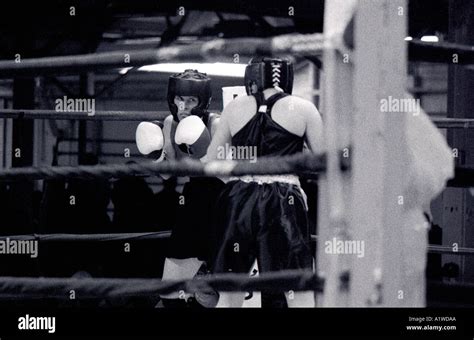 female boxer training for competition Stock Photo - Alamy