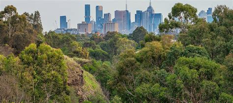 Protecting Cultural Heritage at Yarra Bend Park | Yarra City Council