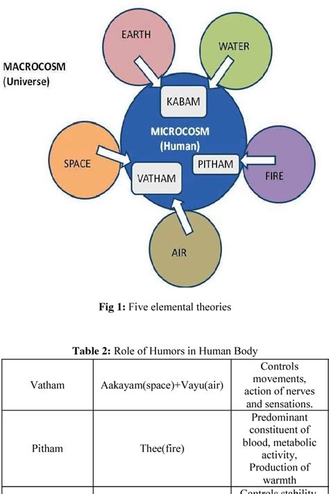 [PDF] A review of Siddha cardiology and cardioprotective herbs. | Semantic Scholar