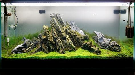 SEIRYU RYUOH STONE ADA STYLE AQUASCAPING IWAGUMI AQUARIUM ROCK ...