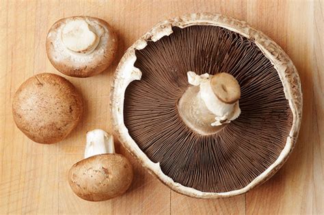 Making batteries with portobello mushrooms | University of California