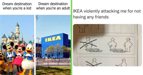 20+ Funniest IKEA Memes for Folks Obsessed With $6 Swedish Meatballs and Disassembled ...