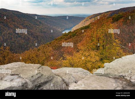 Fall colors in forest at Coopers Rock State Park WV Stock Photo - Alamy