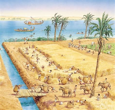 Egypt farming | Ancient egypt, Ancient egypt art, Egypt